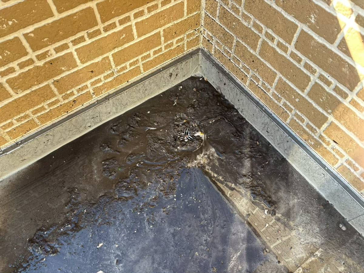 ベランダ洗浄施工前写真